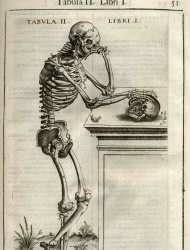 Fondo librario antico di Anatomia Umana